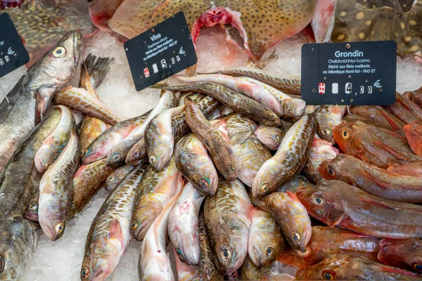 Capbreton Frankrijk 2020 Verse Vis Markt Vissen Gevangen Atlantische Oceaan — Stockfoto