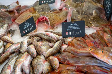 Capbreton, Fransa 27.06.2020 Bir pazarda taze balık. Atlantik Okyanusu 'nda yakalanan balıklar. Kaliteli fotoğraf