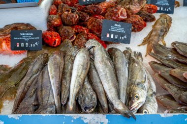 Capbreton, Fransa 27.06.2020 Bir pazarda taze balık. Atlantik Okyanusu 'nda yakalanan balıklar. Kaliteli fotoğraf