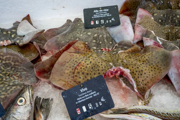 Capbreton Frankrijk 2020 Verse Vis Markt Vissen Gevangen Atlantische Oceaan — Stockfoto