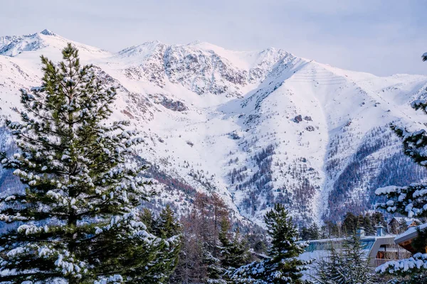 Winterbesneeuwd bos in de bergen. Bergtoppen bedekt met sneeuw in de winter. Pittoreske en prachtige winterse scene. Locatie plaats skigebied Auron, Frankrijk. Alpen skigebied. — Stockfoto