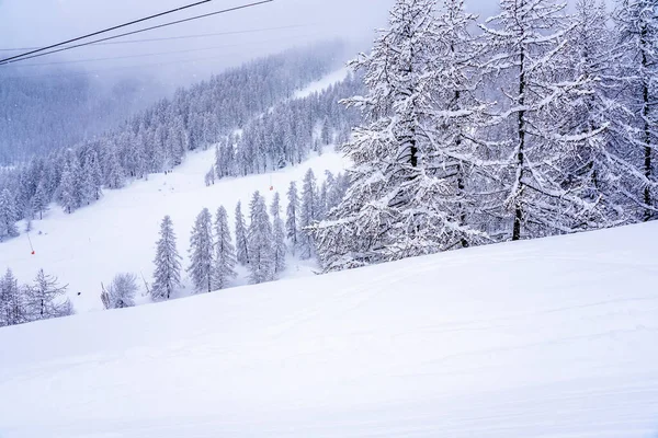 Panoramisch uitzicht op het winterbos tijdens de sneeuwval. Sneeuwen skigebied in de bevroren bergen. Selectieve focus. — Stockfoto