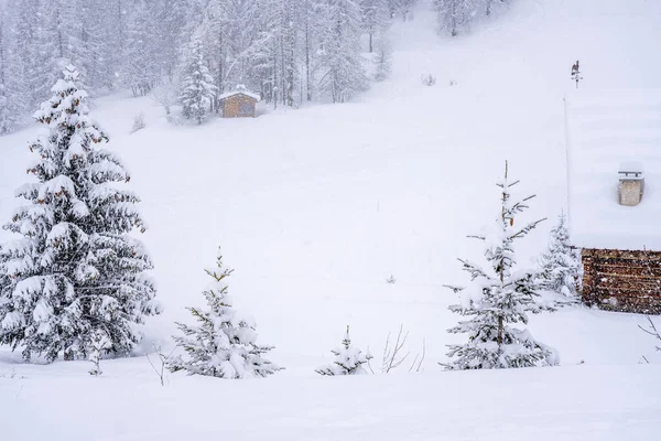 Vista panorámica del bosque invernal durante las nevadas. Estación de esquí de nieve en las montañas congeladas. Enfoque selectivo. — Foto de Stock