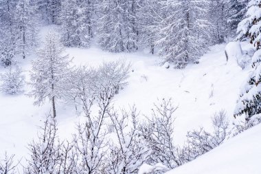  Kar yağışı sırasında kış ormanlarının panoramik manzarası. Donmuş dağlarda kar kayağı merkezi. Seçici odak. 