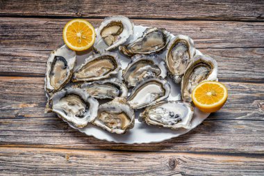 Koyu ahşap arka planda limonlu beyaz bir tabakta taze açılmış istiridyeler.