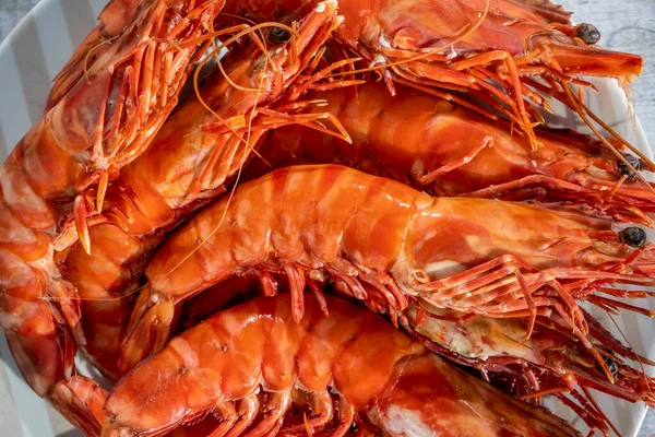 Primer Plano Gambas Gigantes Camarones Aguas Profundas Langostinos Cocidos Plato — Foto de Stock