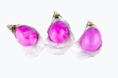 Beyaz arka planda pembe paskalya yumurtalı istiridye kabukları. Makro, kapat.