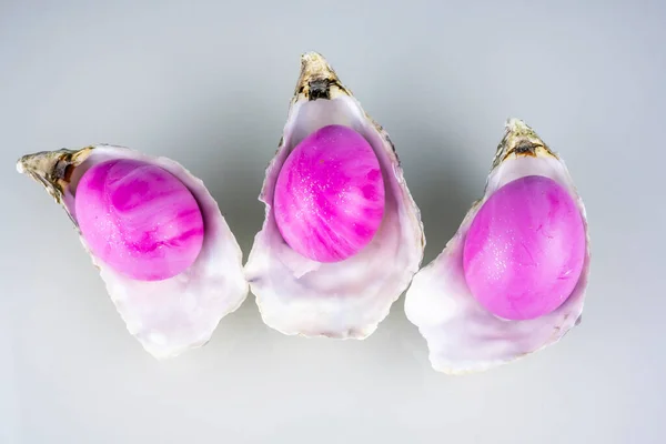 Conchas Ostra Com Ovos Coloridos Páscoa Rosa Isolados Fundo Cinza — Fotografia de Stock