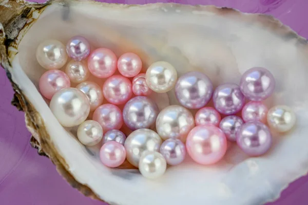 Artificial pearls inside the oyster shell. Different colors and size of pearls. Isolated on a rose background