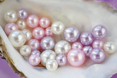 İstiridye kabuğunun içindeki yapay inciler. Farklı renkler ve incilerin boyutları. Bir gül arka planında izole edilmiş 