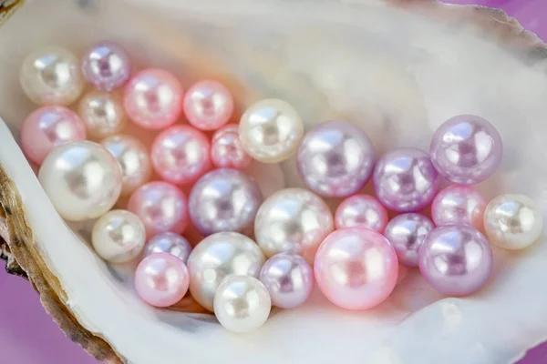 Artificial pearls inside the oyster shell. Different colors and size of pearls. Isolated on a rose background