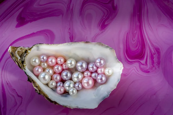 Artificial pearls inside the oyster shell. Different colors and size of pearls. Isolated on a rose background