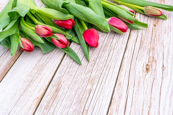 Он лежал с красными цветами тюльпанов на светло-серой деревянной текстуре. Красочная открытка ко Дню матери, Дню рождения, Международному женскому дню 8 марта. Селективный фокус. — стоковое фото