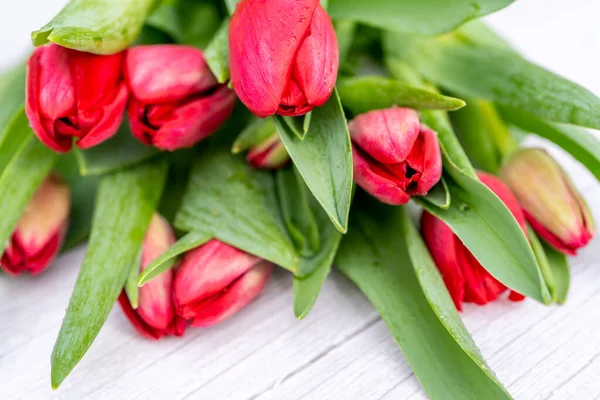 Он лежал с красными цветами тюльпанов на светло-серой деревянной текстуре. Красочная открытка ко Дню матери, Дню рождения, Международному женскому дню 8 марта. Селективный фокус. — стоковое фото