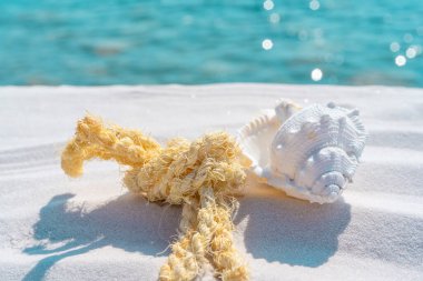 Beyaz kum üzerinde deniz kabuğu ve denizci ipi ve mavi su arka planı, metin için boşluk. Yaz plajı. Kumdaki deniz kabuğu. 