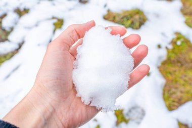 Kış mevsiminde elinde kartopu. 