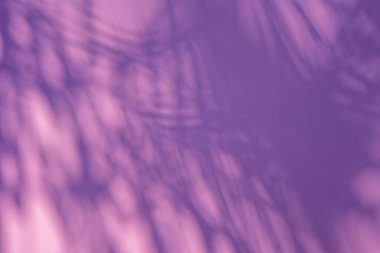 Pembe arka planda fotokopi alanı olan palmiye yaprağının gölgesi. Yaz tatili plaj konsepti. Düz renkli palmiye yaprakları. 