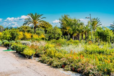Ev bitkileri yetiştirme işi. Çiçekçilere ya da dükkanlara satmadan önce büyük seraların ya da açık arazide saksıları olan küçük ve büyük bitkilerin olduğu çocuk odaları. Bahçe endüstrisi konsepti