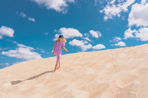 Vista aérea de la foto - una chica solitaria camina por el desierto de arena. —  Fotos de Stock
