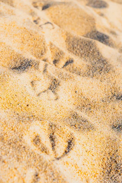 Следы чайки на песчаном пляже. Текстурированный фон — стоковое фото