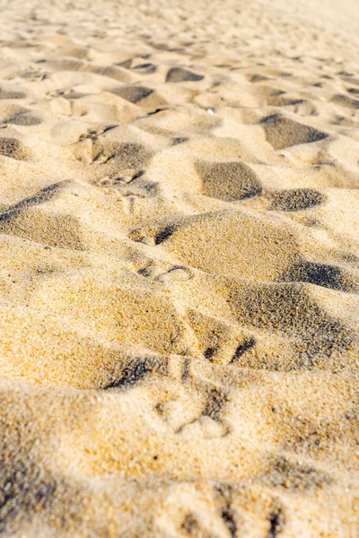 Следы чайки на песчаном пляже. Текстурированный фон — стоковое фото