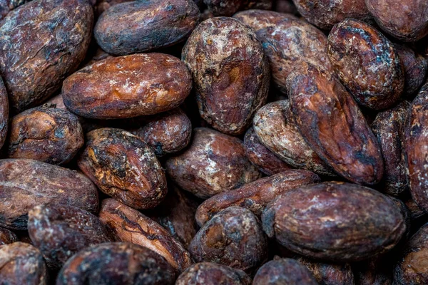 Granos de cacao orgánicos tostados en seco para el mejor chocolate gourmet como fondo —  Fotos de Stock