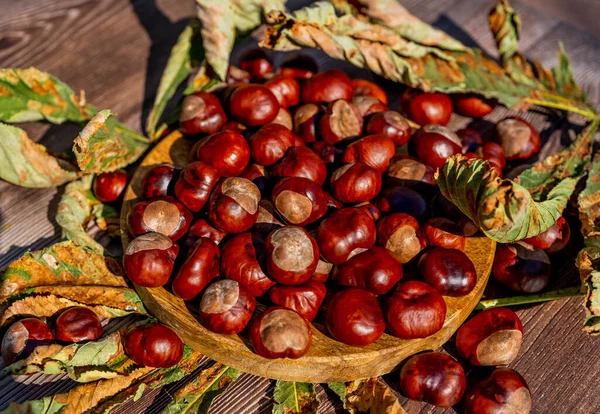 Καρύδι Πιάτο Ξερά Φύλλα Καφέ Ξύλινο Τραπέζι Φθινόπωρο Νεκρή Φύση — Φωτογραφία Αρχείου