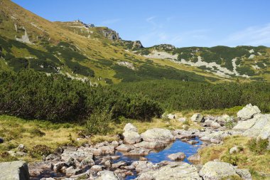 Polonya Tatra Dağları 'ndaki Zielona Gsienicowa Vadisi' nden görüntü.