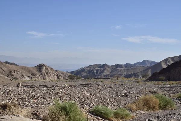 Vedere de la wadi Shlomo - deșertul Negev - Israel — Fotografie, imagine de stoc