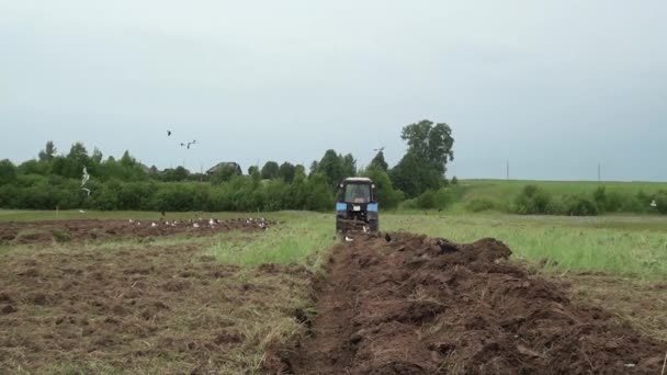 Tractor arando la tierra — Vídeo de stock