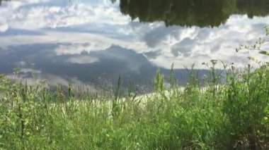 Göletin büyümüş yan