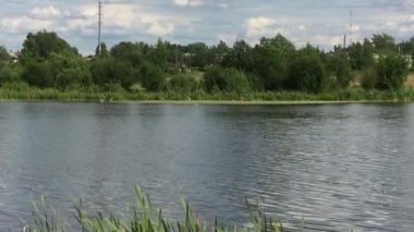 Göletin büyümüş yan