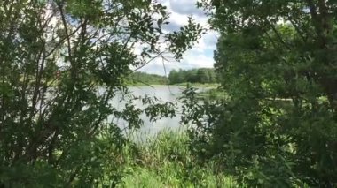 Göletin büyümüş yan