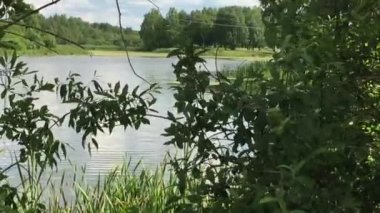 Göletin büyümüş yan