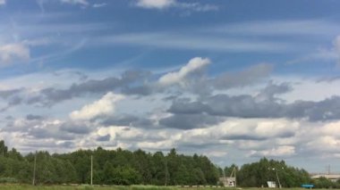 Ağaçlar gökyüzüne karşı