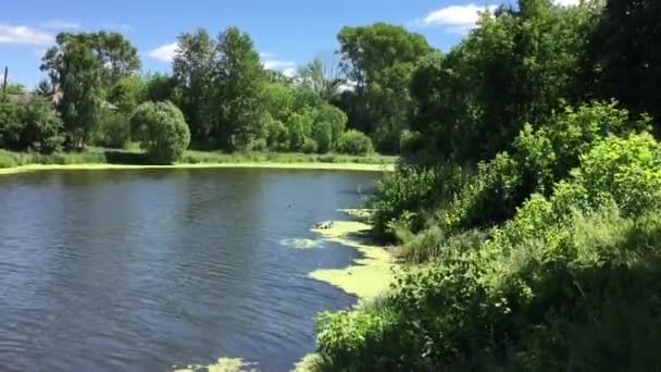 la rive de l'étang de la ville 