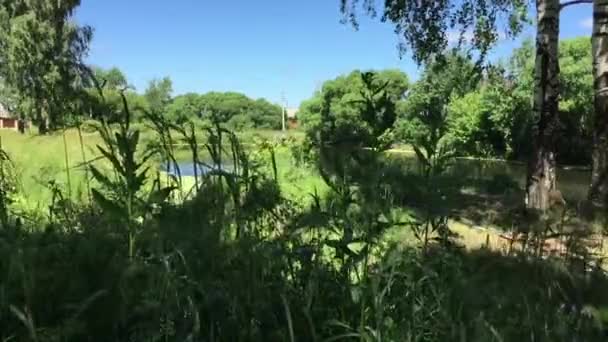 la rive de l'étang de la ville 