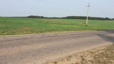 Tarım arazileri yaz aylarında