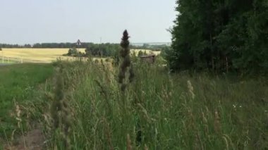 Tarım arazileri yaz aylarında