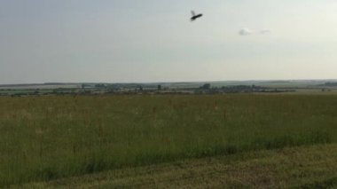 Tarım arazileri yaz aylarında