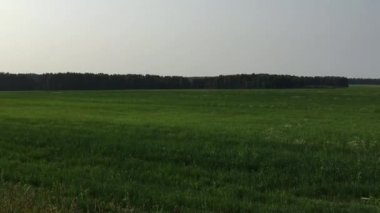 Tarım arazileri yaz aylarında