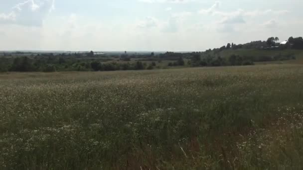 Tierras agrícolas en verano — Vídeos de Stock