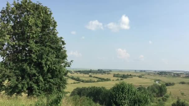 Verano paisaje rural — Vídeos de Stock
