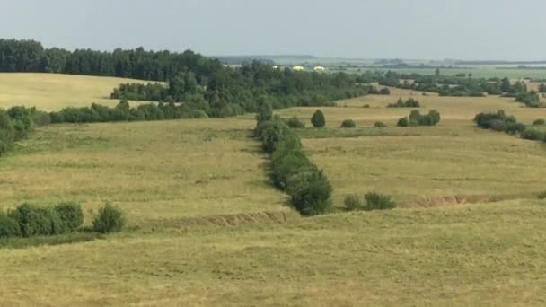 Zomer landelijk landschap — Stockvideo