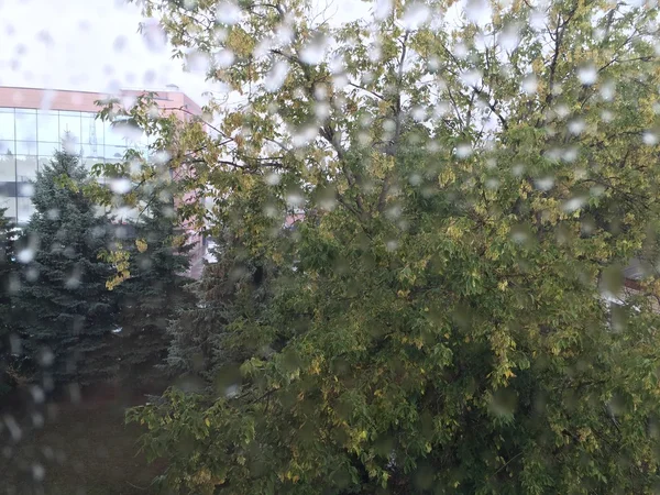 Pencerenin Dışındaki Yağmur — Stok fotoğraf