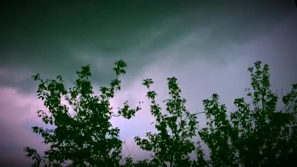 La lluvia fuera de la ventana — Vídeos de Stock