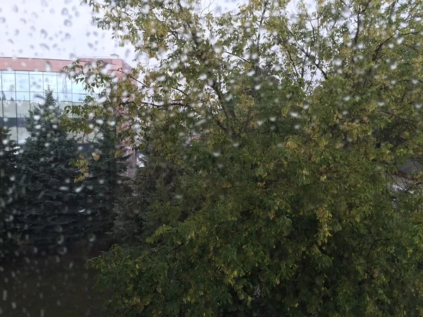 La pluie devant la fenêtre — Photo