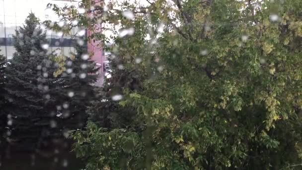 La lluvia fuera de la ventana — Vídeos de Stock