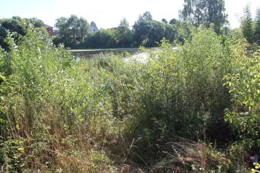 Sonbaharın ilk işaretleri