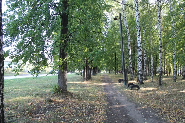 The first signs of autumn — Stock Photo, Image